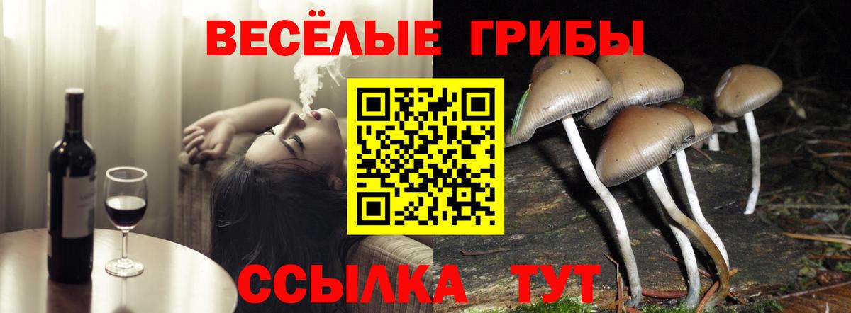Псилоцибиновые грибы ЛСД Богородск